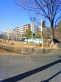 NEC_0878_thumb.png