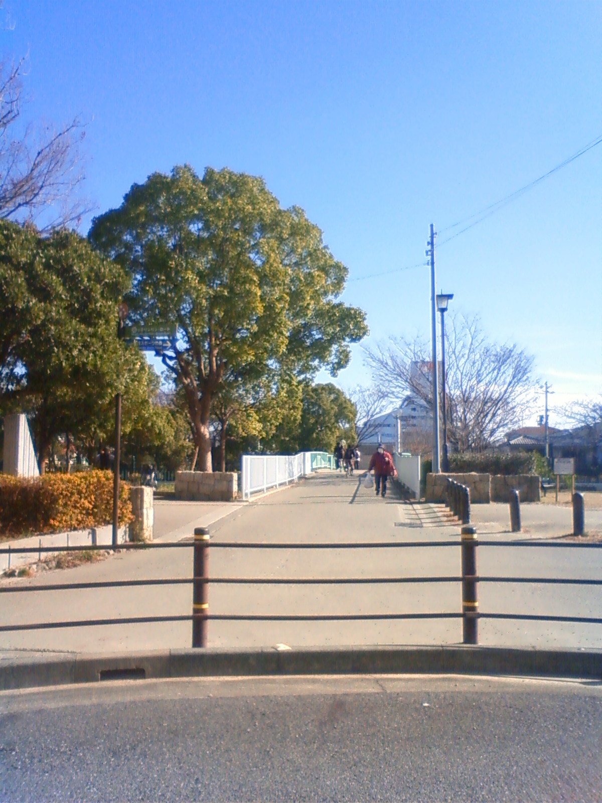 NEC_0883.JPG