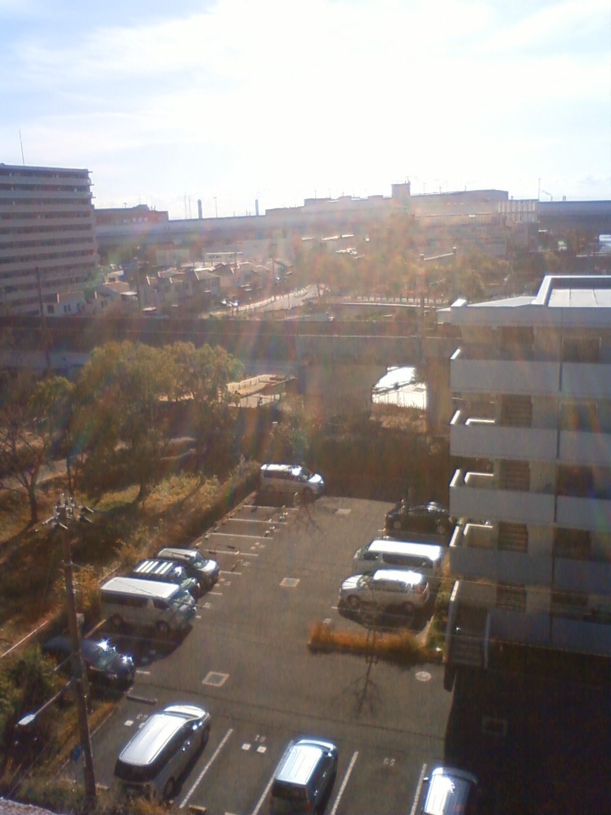 NEC_0886.JPG