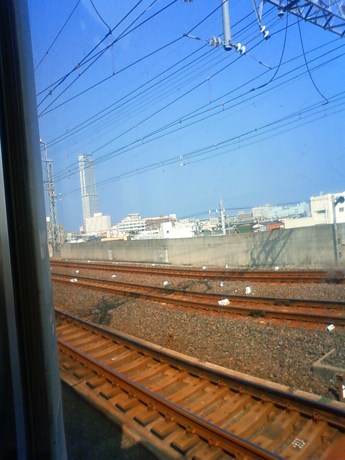 NEC_2502.JPG