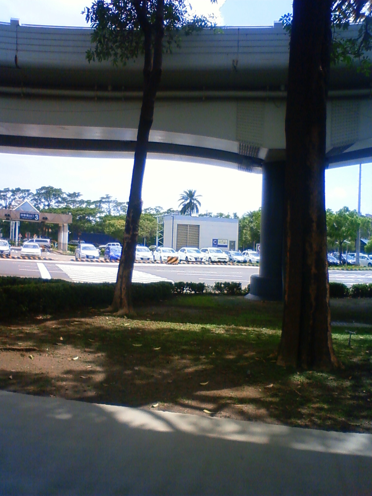 NEC_2532.JPG