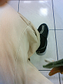 NEC_2592_thumb.png