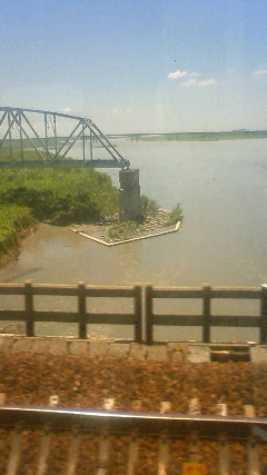 NEC_2622.JPG