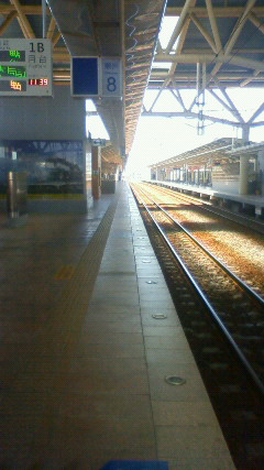 NEC_2630.JPG