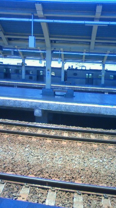 NEC_2637.JPG