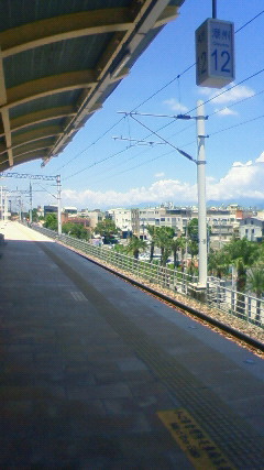 NEC_2663.JPG