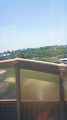 NEC_2677_thumb.png