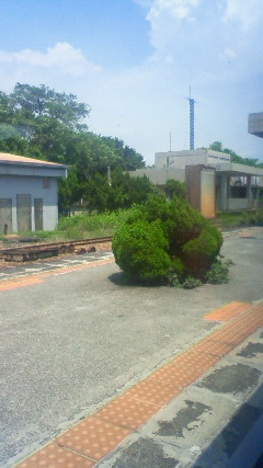 NEC_2683.JPG