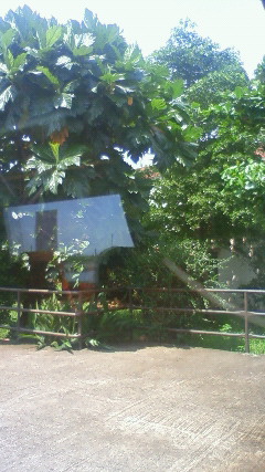 NEC_2687.JPG