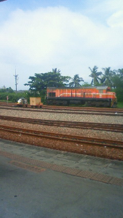 NEC_2693.JPG