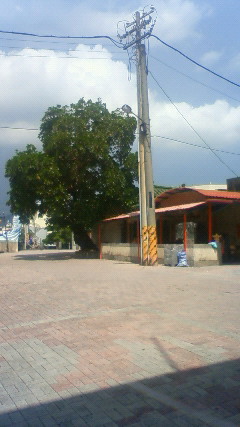NEC_2730.JPG