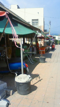 NEC_2732.JPG
