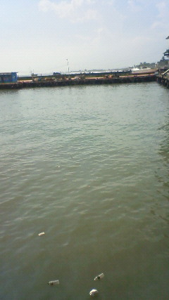 NEC_2738.JPG