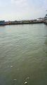 NEC_2738_thumb.png