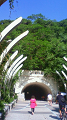 NEC_2768_thumb.png