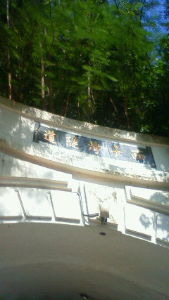 NEC_2770.JPG