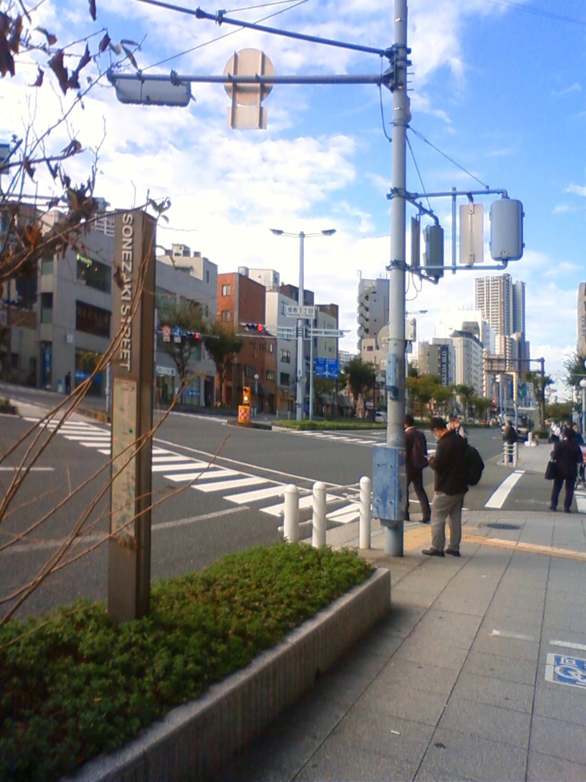 NEC_1578.JPG
