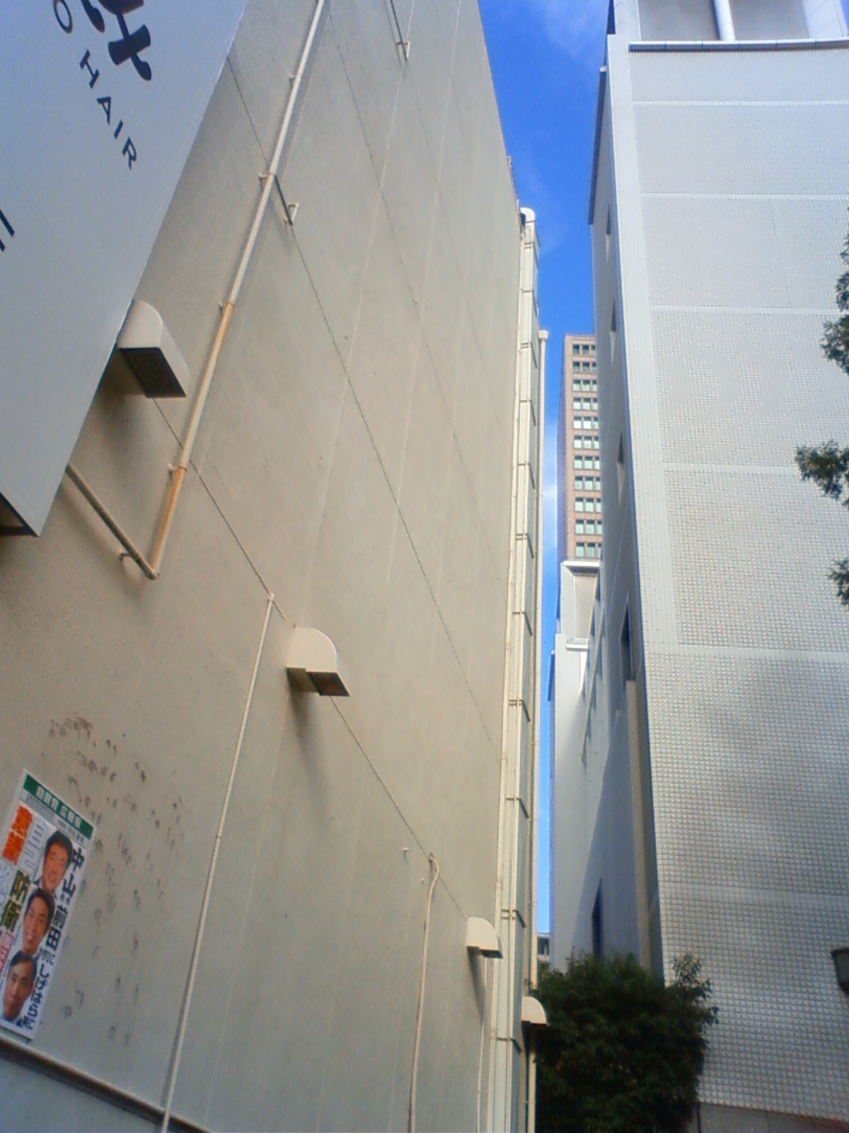 NEC_1586.JPG