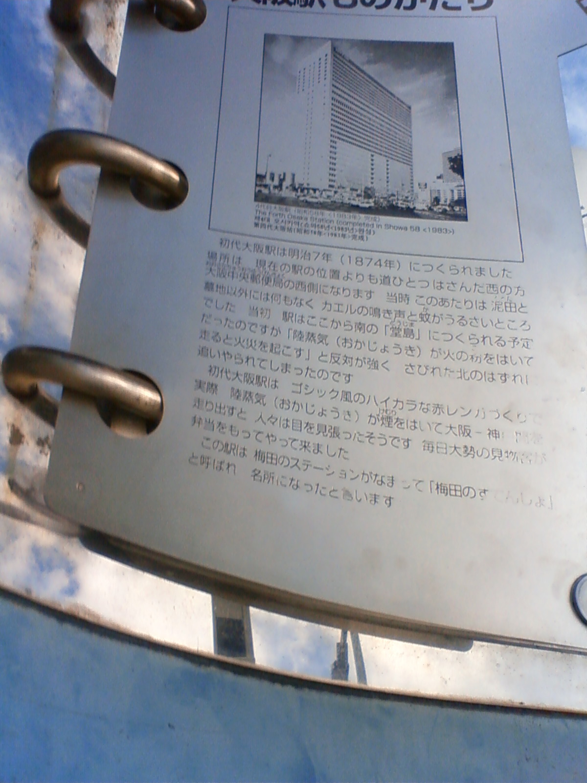 NEC_1599.JPG