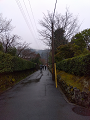 IMG_2024-01-18-12-20-27-636_thumb.png