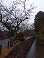 IMG_2024-01-18-12-38-03-743_thumb.png