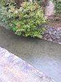 IMG_2024-01-18-12-38-27-498_thumb.png