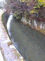 IMG_2024-01-18-12-43-20-303_thumb.png