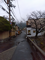 IMG_2024-01-18-13-05-25-219_thumb.png