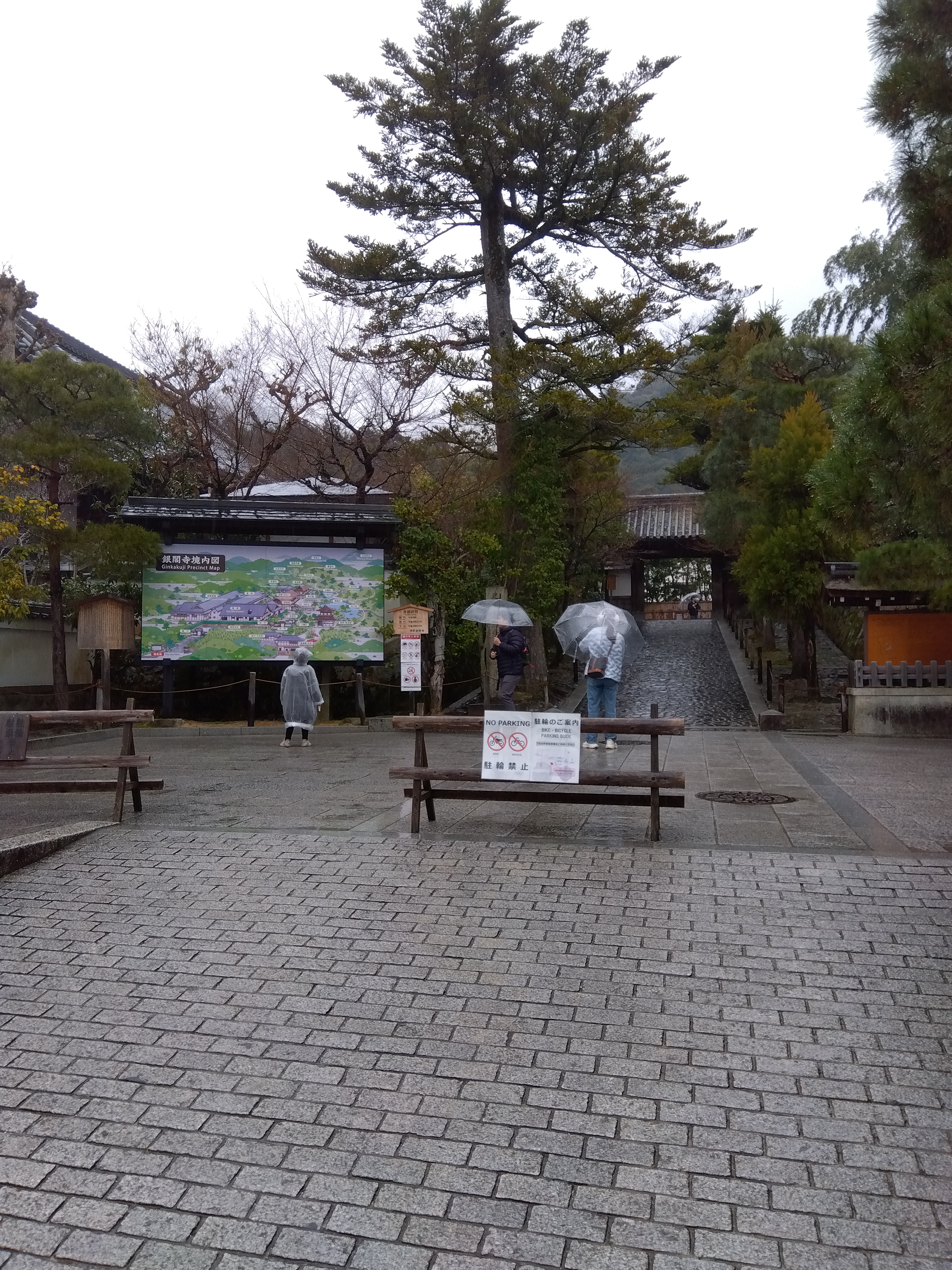 IMG_2024-01-18-13-09-04-065.jpg