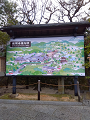 IMG_2024-01-18-13-09-39-067_thumb.png