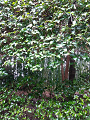 IMG_2024-01-18-13-11-13-504_thumb.png