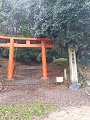 IMG_2024-01-18-13-32-38-731_thumb.png