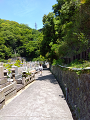 IMG_2025-05-05-12-33-16-824_thumb.png