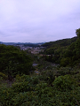 IMG_2025-05-05-18-46-04-198_thumb.png