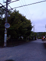 IMG_2025-05-05-18-51-00-053_thumb.png