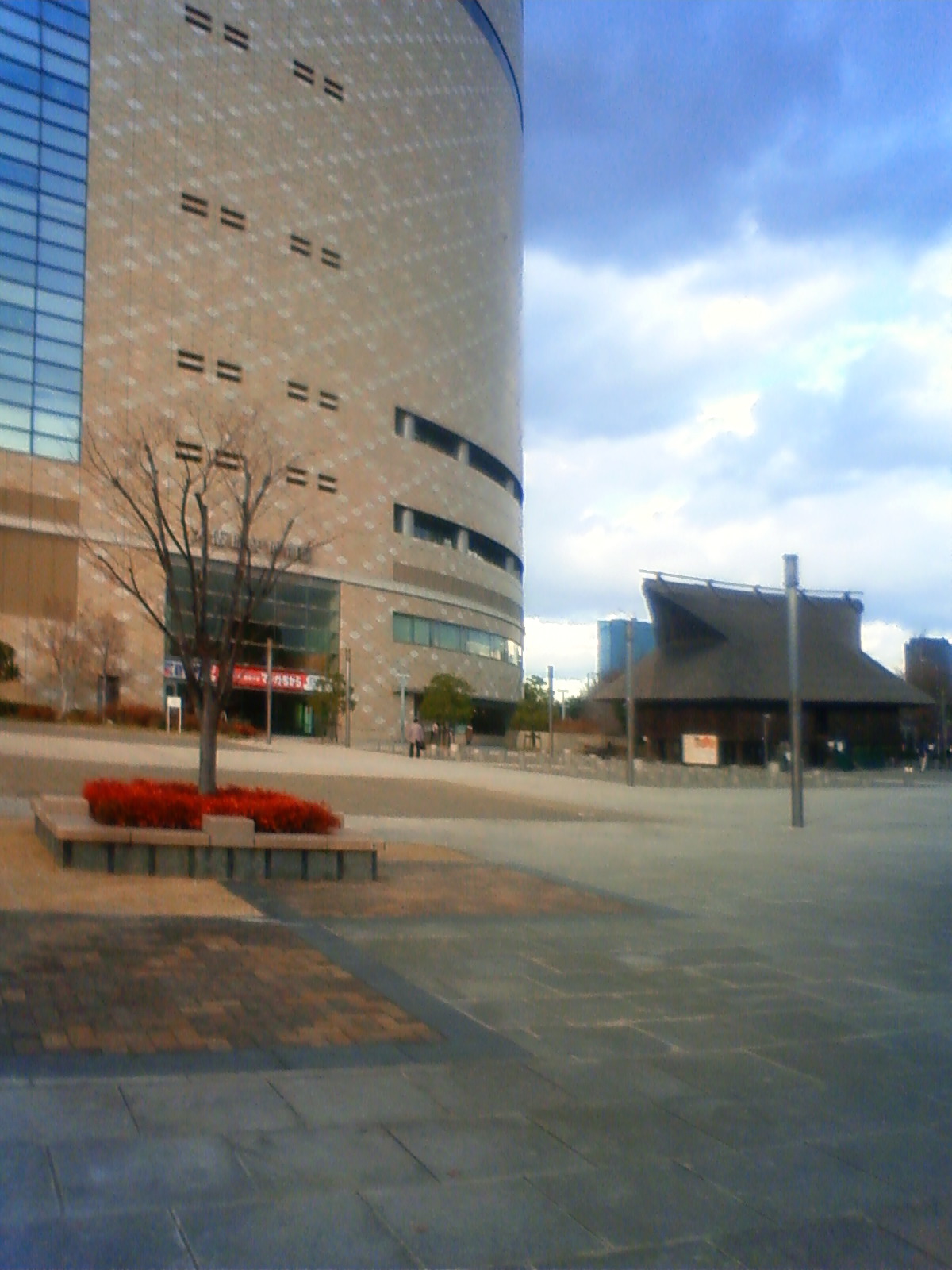 NEC_0186.JPG