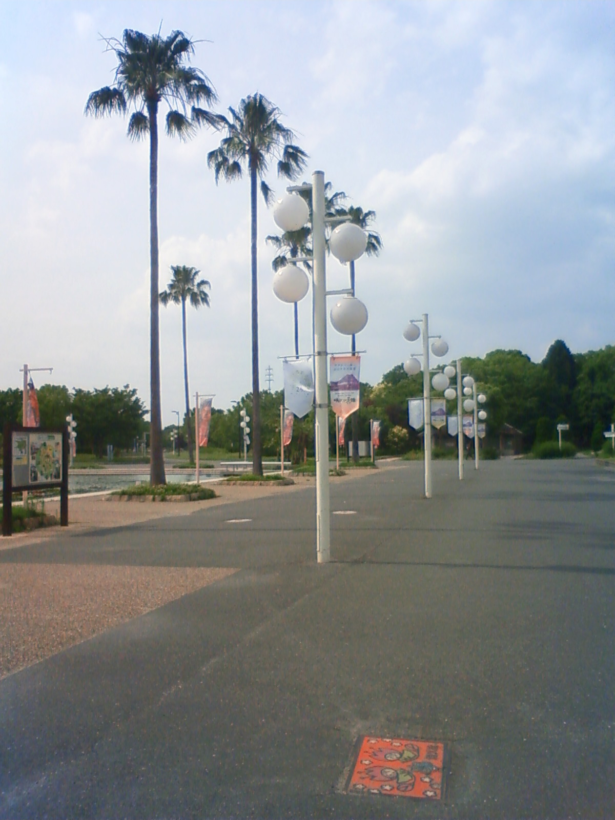 NEC_0898.JPG