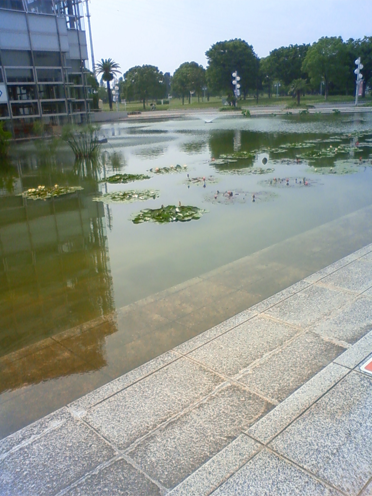 NEC_0900.JPG