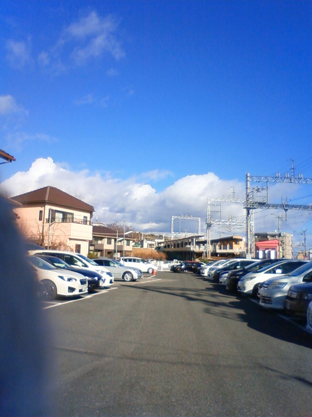 NEC_0904.JPG