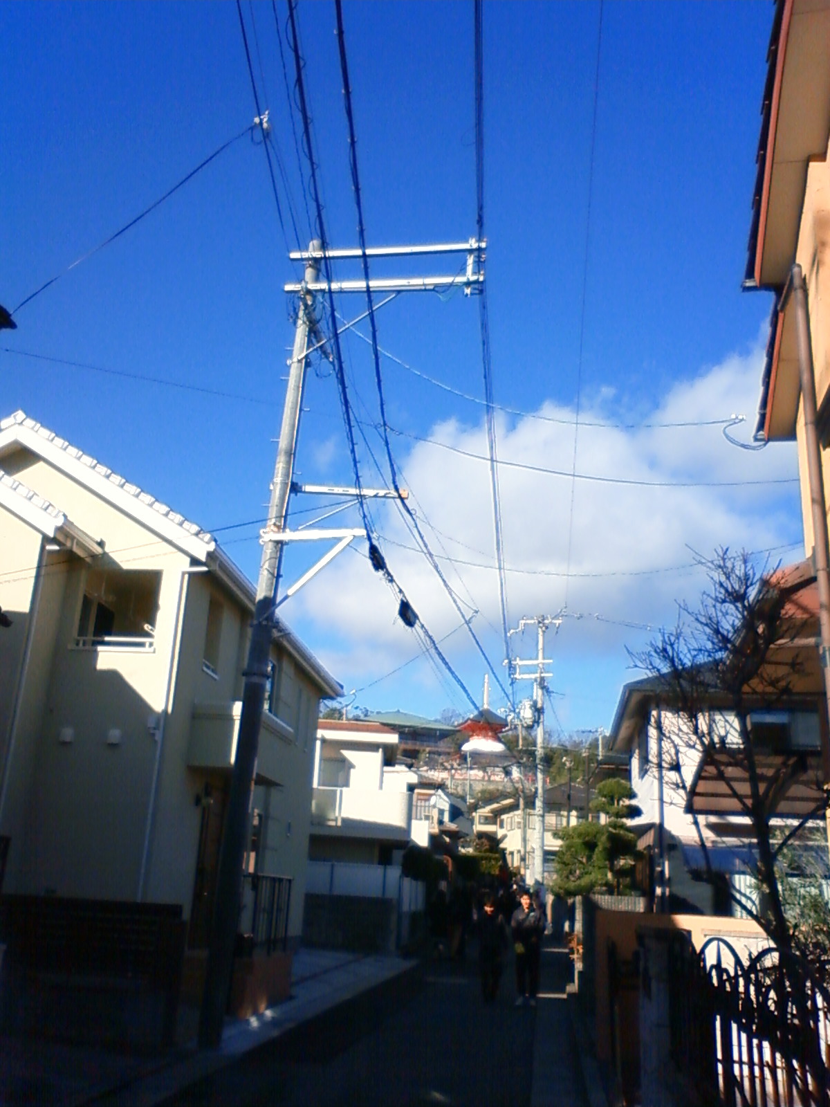 NEC_0905.JPG