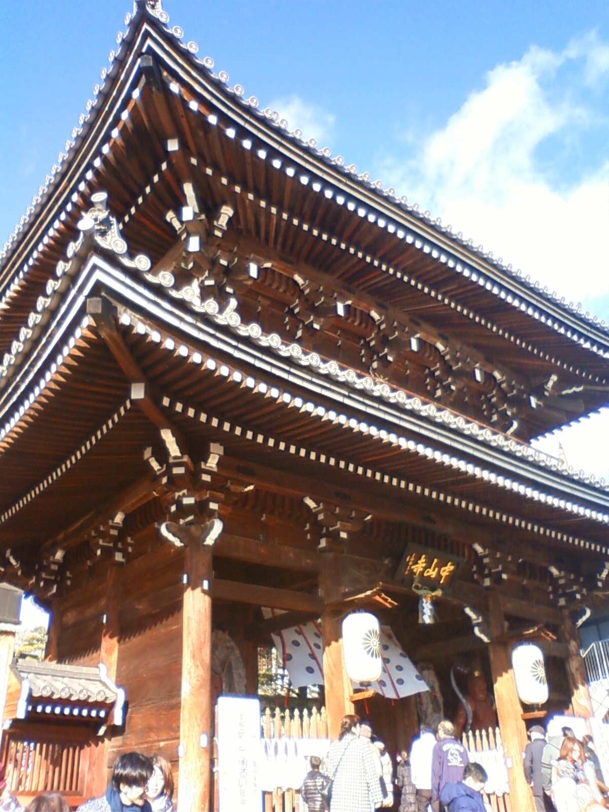 NEC_0906.JPG