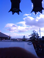 NEC_0907_thumb.png