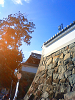 NEC_2701_thumb.png