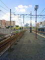 NEC_1172_thumb.png