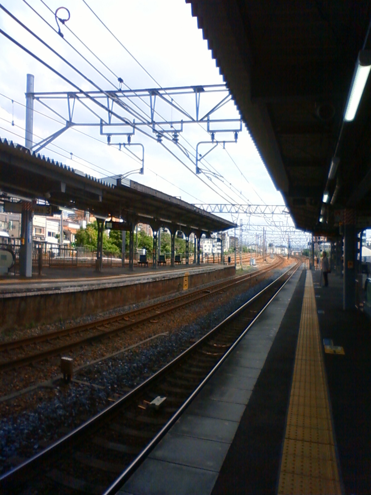 NEC_1175.JPG
