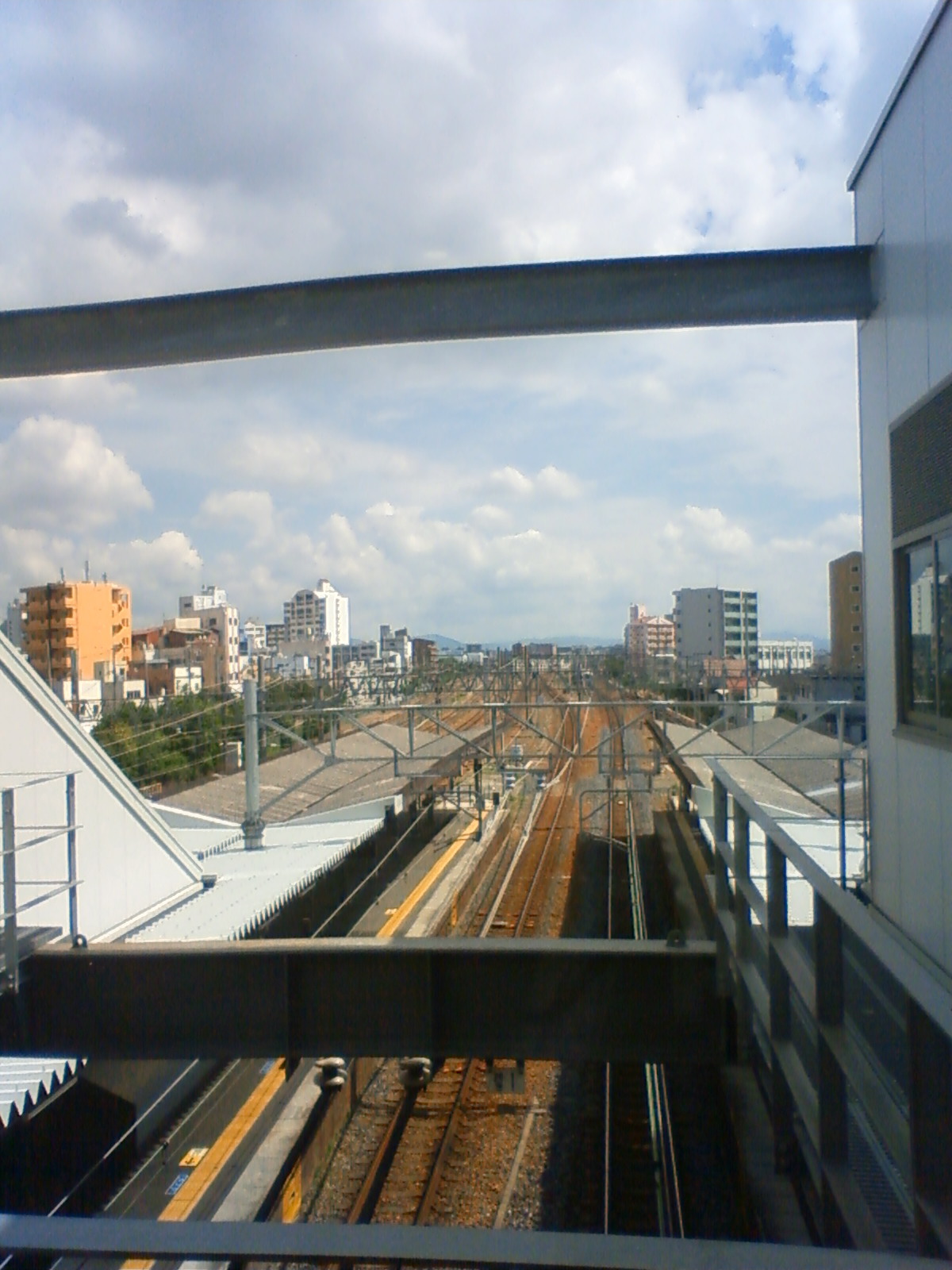 NEC_1176.JPG