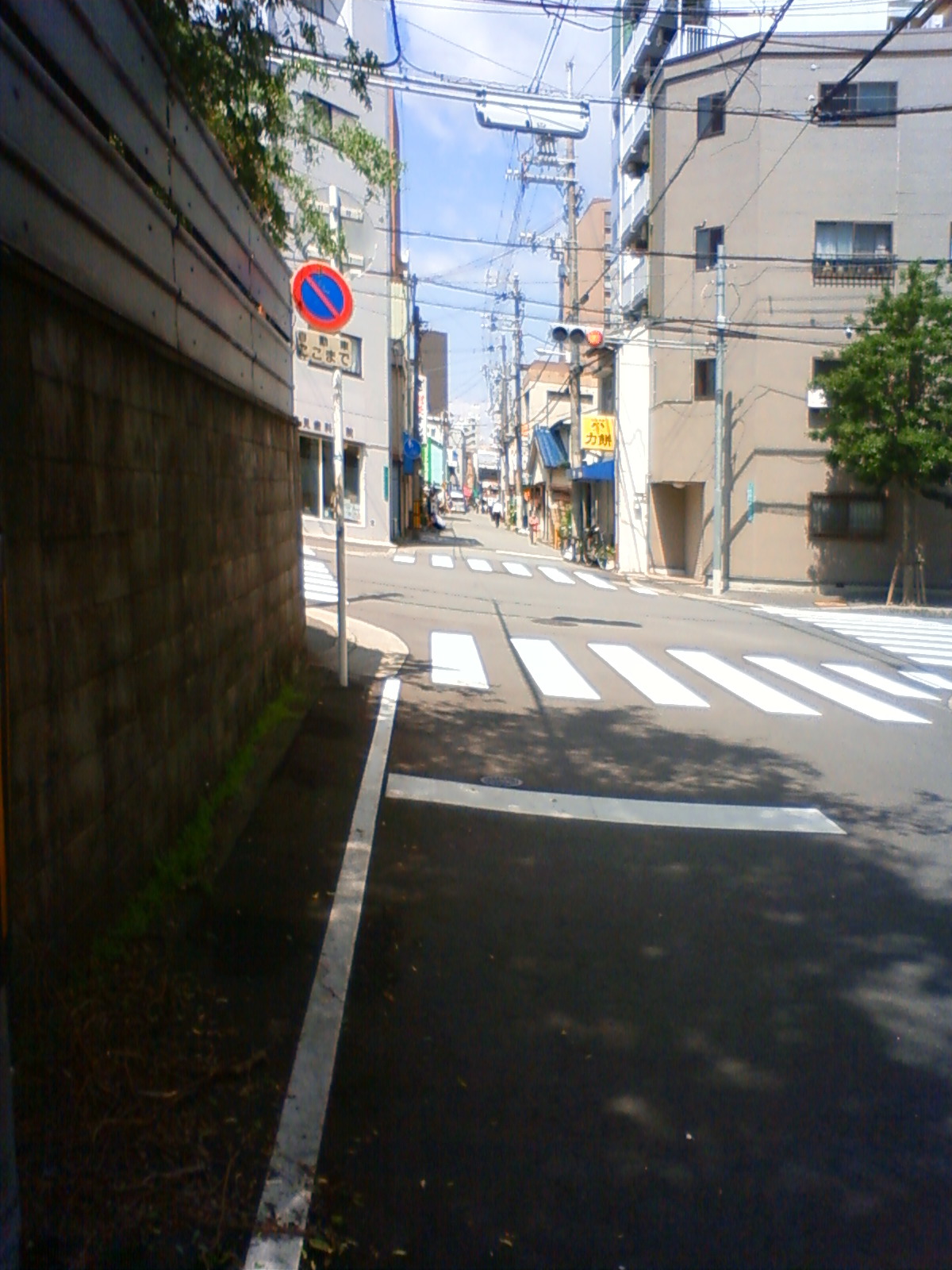 NEC_1189.JPG