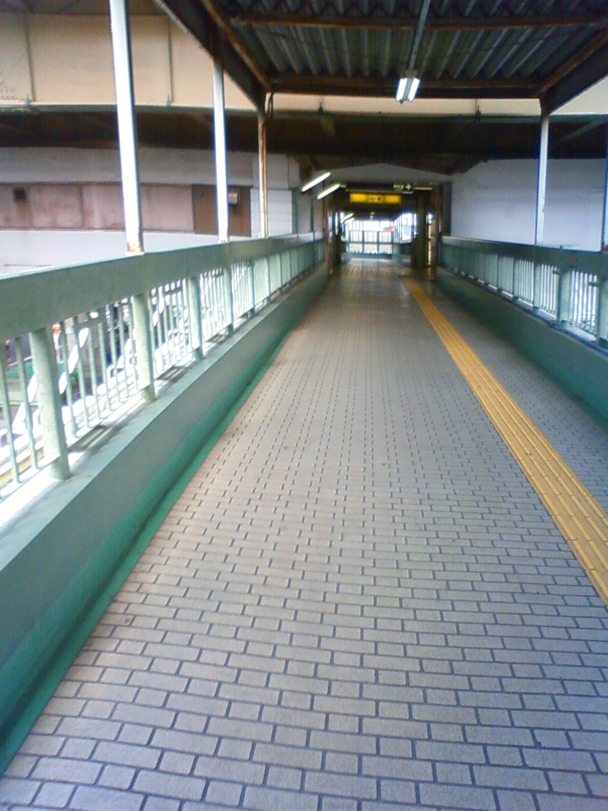 NEC_1200.JPG