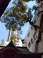 IMG_2024-03-11-10-25-18-149_thumb.png