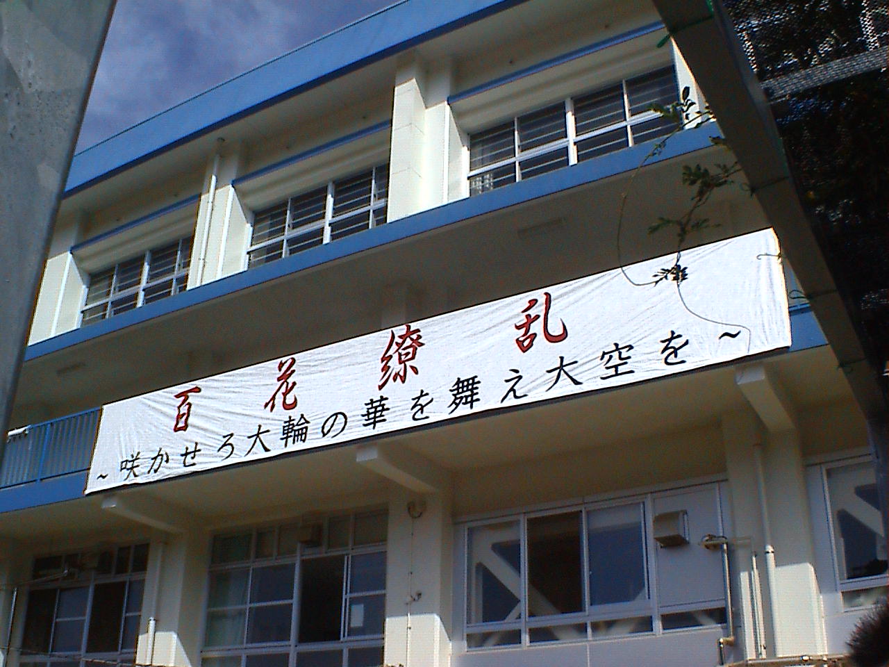 DVC00478.JPG